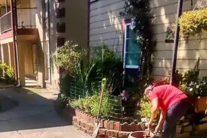 Woman in a courtyard, watering plants with a watering can on a sunny day